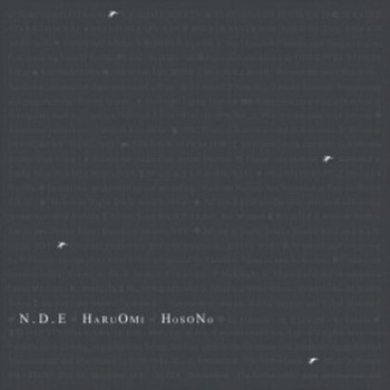 HARUOMI HOSONO - N.D.E.