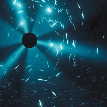 LAUREL HALO - Midnight Zone